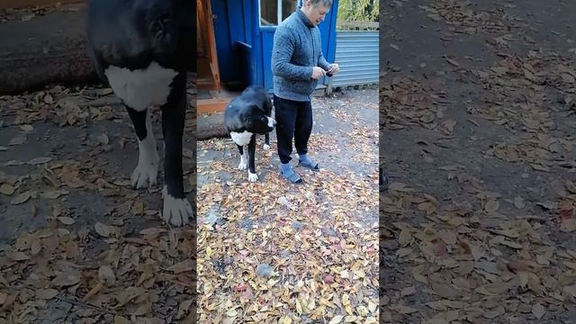 этого вы ещё не видели смотреть онлайн