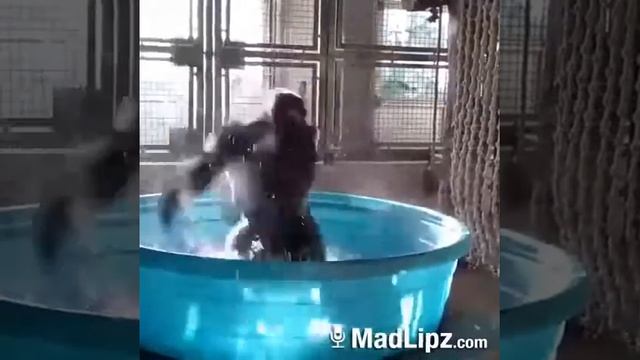 19 сентября 2017 г. смотреть онлайн
