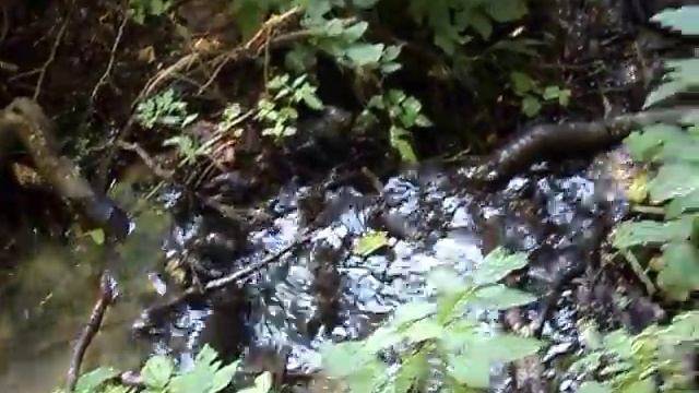 Родник смотреть онлайн