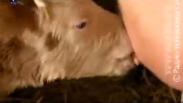 Savim Prirodno U Poseti Kod Laleta Grujičića