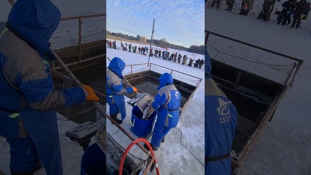 Запуск форели, гольца и палии. смотреть онлайн