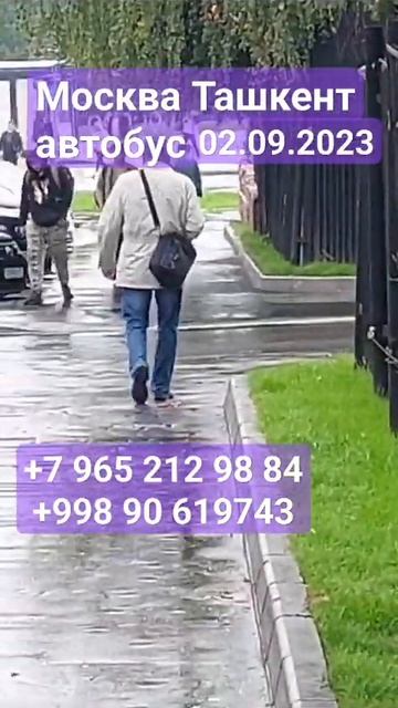 #москва #ташкент #автобус Москва Ташкент автобус 02.09.23 смотреть онлайн