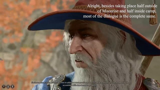 Experimenting With Elminster from Baldur's Gate 3 смотреть онлайн