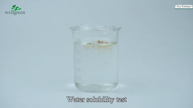 Manufacture Hedera Helix Ivy Extract Powder Hederagenin Chinese Ivy Stem Extract    #wholesale