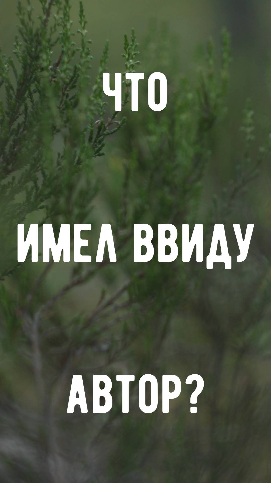 Что имел ввиду автор?