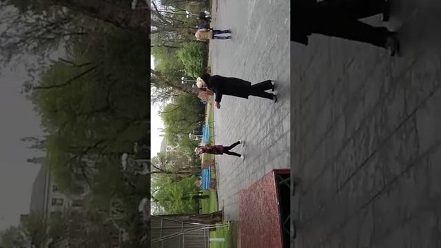 Молодая лошадь ОВ