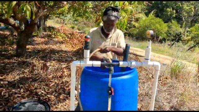 Precise nutrient management programme for scotch bonnet peppers in Jamaica. смотреть онлайн