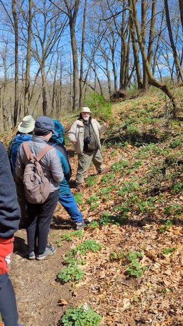 Spring Wildflower Hike with Naturalist смотреть онлайн