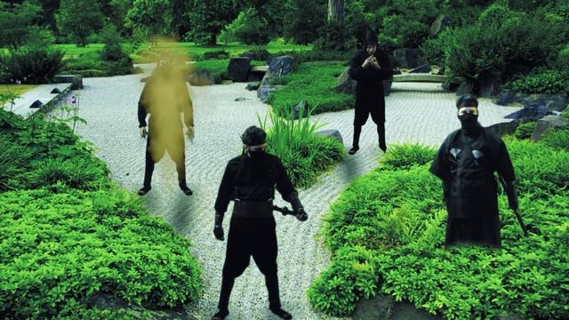 LASCO VARIOUS ACCENTS