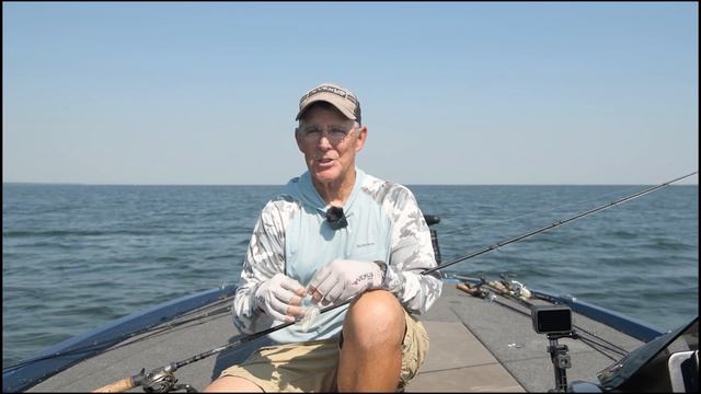 Mille Lacs Smallmouth Alliance Mid July Lake Report with George Liddle Jr. смотреть онлайн