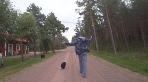 Агрессивный шпиц из Финляндии (Часть 2)