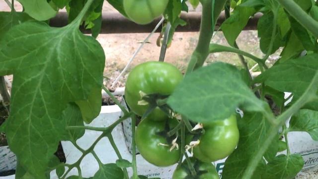 IMG 2669ма6 смотреть онлайн