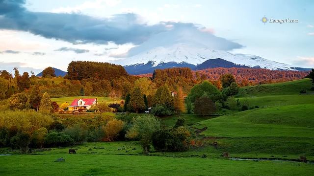 Нежная музыка 🎻 🎹 🎸 для отдыха и сна с замечательными пейзажами 🌲 🌊 смотреть онлайн