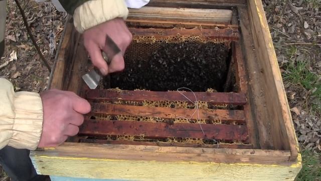 Я - пасічник-початківець. Крок 8. Перший весняний огляд вулика