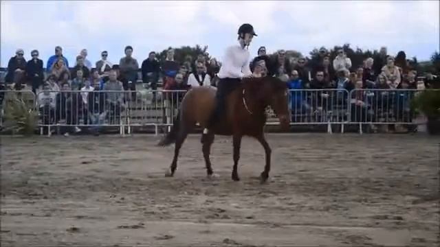 Pied à l'étrier 12-06-2016 - Lena, Maguiwan & Réglisse смотреть онлайн