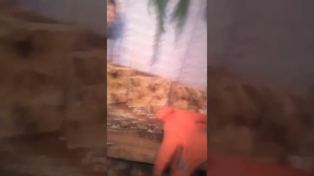 Игра жмурки