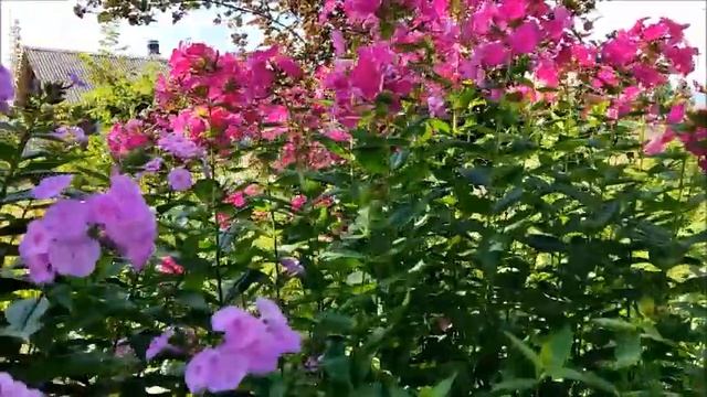 Прощай, июль, всё было мило смотреть онлайн