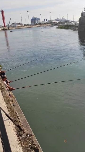 14 августа 2021 г. смотреть онлайн