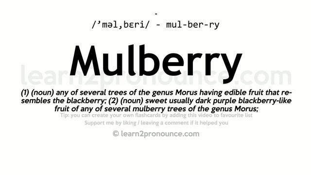 Pronunciation of Mulberry | Definition of Mulberry смотреть онлайн