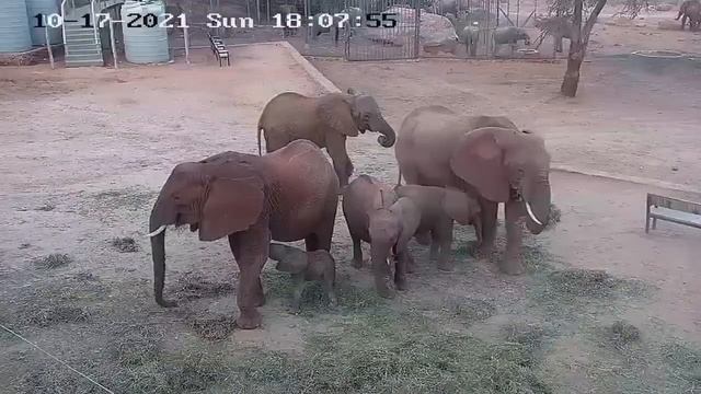 Welcoming Kinna's Second Baby, Kaia