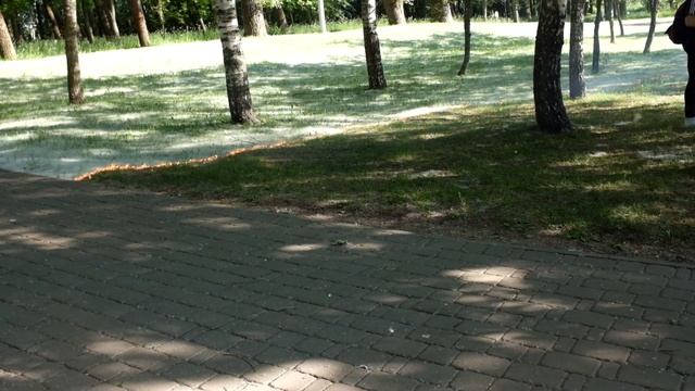 Тополиный пух горит смотреть онлайн