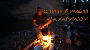 Пеший поход на таёжную речку. Ночь в лесу. Рыбалка на хариуса.