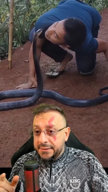Melhor especialista do mundo em ofídios ou melhor chamar o @GabrielNúcleo. Vídeo de Humor! смотреть онлайн