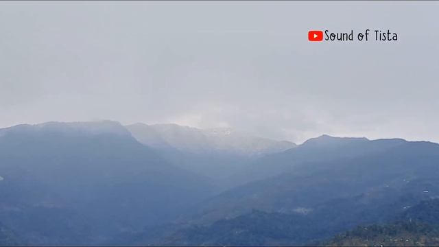 Dalgaon Cinchona Resort||Dalgaon View Point|| Naxal||Jaldhaka Picnic Spot||DooarsTour||North Bengal