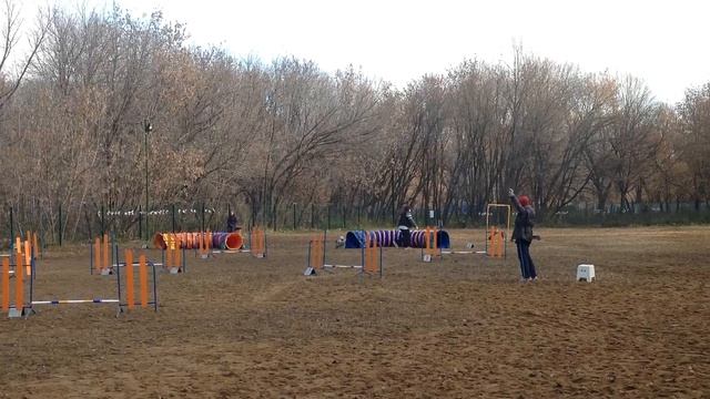 Рется Александра Д-0 смотреть онлайн