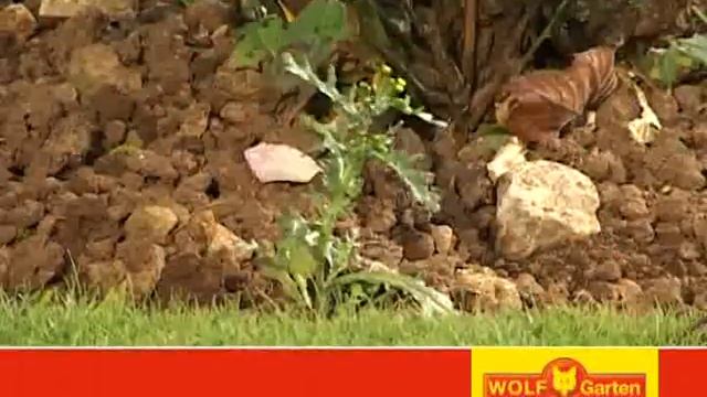 Wolf Garten Multi Change System