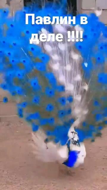 5 ноября 2023 г.