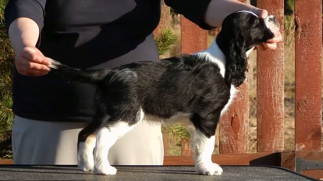 Рина стойка смотреть онлайн