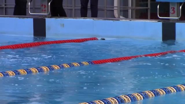 Мальчики 2010 г.р. (СГ) - 100 м баттерфляй (25.05.2019 г.) смотреть онлайн