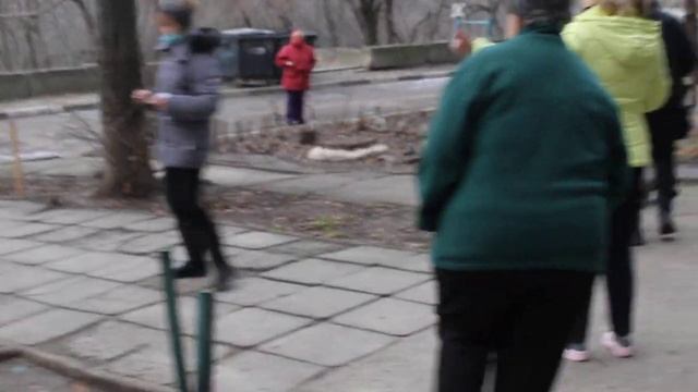 Воронежская, коты, Запорожье