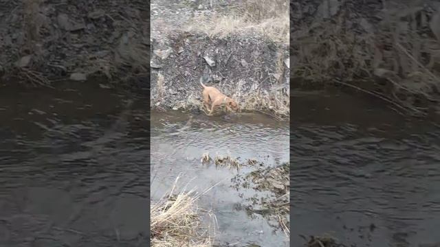 Самое весеннее видео! Купаемсяяя😜😜😜 смотреть онлайн