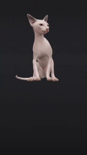 #3d ||#google ||#cat ||#google3danimals  ||#animals||#shorts ||#interestingtech