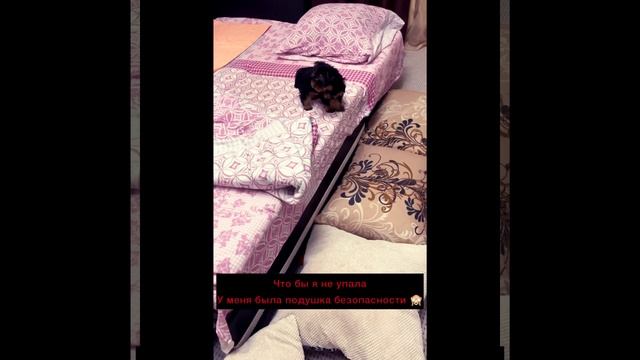 Мой первый день дома 🥰 смотреть онлайн