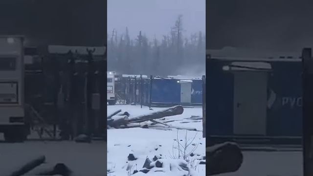 Медведь и человек. Медведь напал. Нападение медведя смотреть онлайн