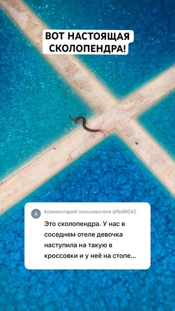 ВПЕРВЫЕ В ЖИЗНИ СТОЛКНУЛАСЬ! Только поговорили, называется… смотреть онлайн