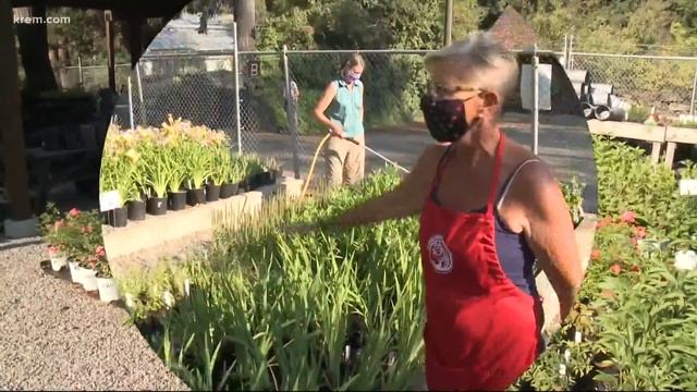 Friends of Manito add social distancing guidelines to annual plant sale смотреть онлайн