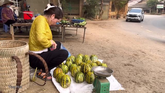 Harvesting Melon Goes To The Market Sell, King Kong Amazon, Vàng Hoa