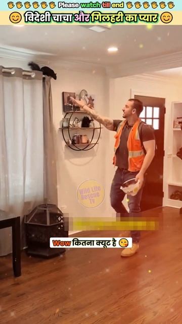 विदेशी चाचा और गिलहरी का प्यार 🥰  #animal #animals #animallover #animalrescue #squirrel