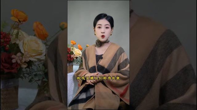 你知道这些关于十二生肖的秘密吗？#生肖 #十二生肖 #十二生肖的秘密 смотреть онлайн