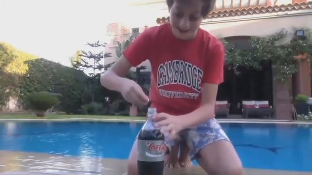 Подборка видео приколов - приколы с девушками, смешные животные. смотреть онлайн