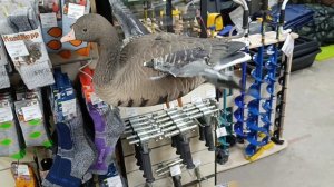 Электронный махокрыл гуся. Охота на гуся 2024