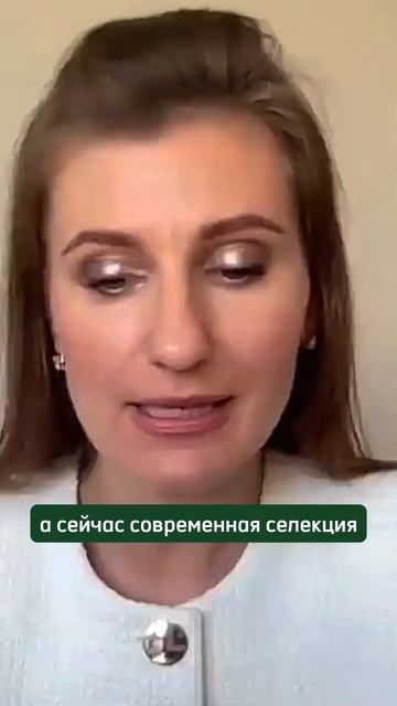Глютен - хорошо или плохо? #нутрициолог #педиатр #здоровье #зож смотреть онлайн