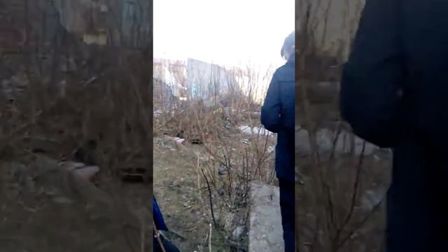 Пародия на Хову, ну или попытка её сделать смотреть онлайн