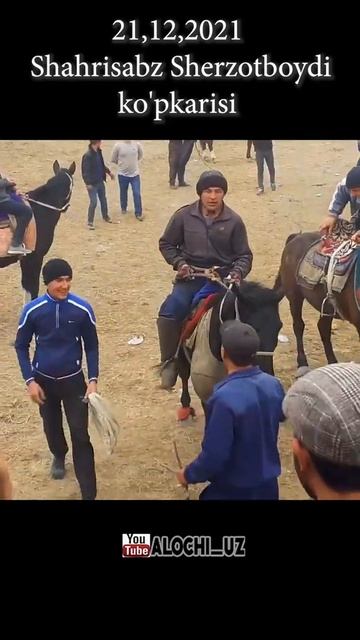 1 тойКитобдан Акбар Ёқуб акани Қора Марвариди бн #shorts смотреть онлайн