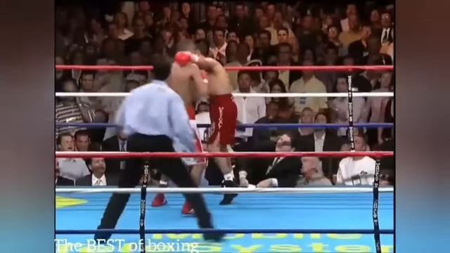 Las 5 peleas de boxeo más emocionantes de los últimos años смотреть онлайн