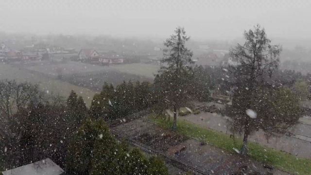Rogów 3.04.2021 смотреть онлайн